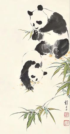 Panda Chinese Painting, Chinese Artwork Traditional, Chinese Caligraphy Art Artworks, Chinese Drawing Traditional, Japanese Watercolor Paintings, Chinese Drawing, Chinese Panda, Panda Artwork