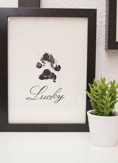 an image of a dog's paw print in a frame on the wall next to a potted plant