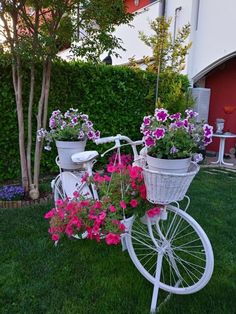 a white bicycle with flowers in the basket