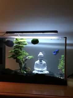 a buddha statue sitting on top of a wooden table next to an aquarium filled with fish