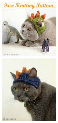 two pictures of cats wearing knitted hats and one has an animal figure on it