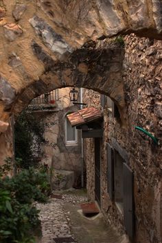 an alleyway with stone walls and doors leading into the distance, surrounded by greenery