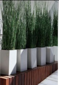 several planters are lined up on the side of a building with tall grass growing out of them