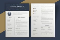 a professional resume template is displayed on a blue and yellow background with an orange stripe