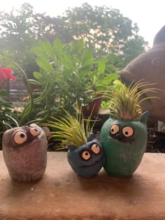 three pots with plants in them sitting on a ledge