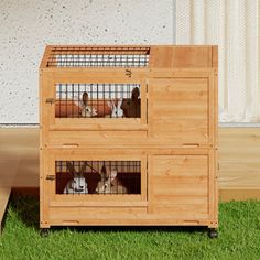 two dogs are sitting in their kennels on the green grass next to a door