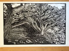 a black and white drawing of trees in the woods