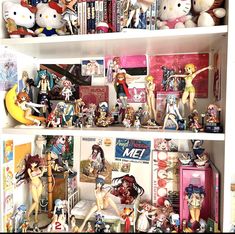 the shelves are filled with anime figurines and bookshelves full of them