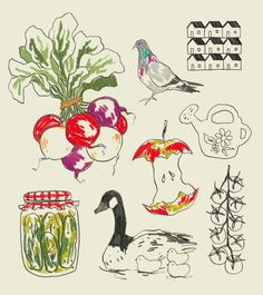 a drawing of vegetables and fruits in jars with birds on the top one is drawn by hand