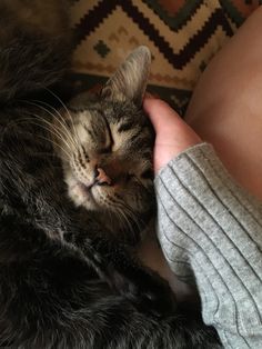 a cat sleeping on top of someone's lap with their arm around the leg