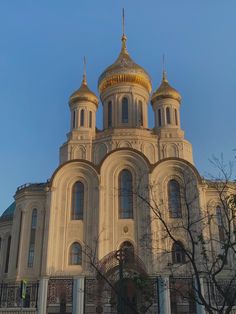 an ornate building with golden domes on top