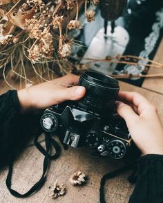 a person holding a camera over a wooden table with dried flowers in front of them