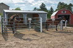 two horses are standing in their stalls