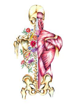 the back view of a human skeleton with flowers on it