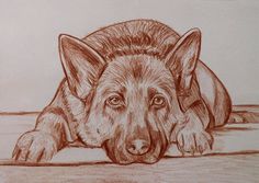 a drawing of a dog laying on the ground with his head resting on its paws