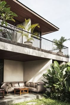 an outdoor living area with couches and tables on the ground near trees, bushes and plants