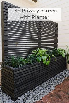 an outdoor privacy screen with plants in it and the words diy privacy screen with planter