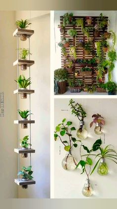 Apartment Herb Gardens, Deco Nature, Vertical Gardens, Plant Decor Indoor, House Plants Decor, Hanging Garden, Interior Garden, Diy Plants