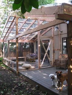 two dogs are standing on a deck in front of a house with a chicken coop