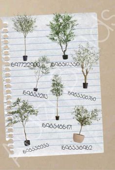 several different types of trees are shown on lined paper with numbers in each row and small potted trees