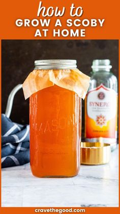 how to grow a scoby at home with text overlay that reads how to grow a scoby at home