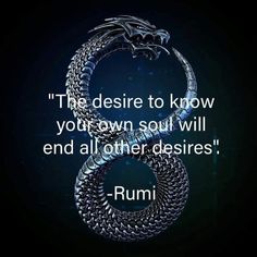 a dragon with the words rumi on it and an image of a black background