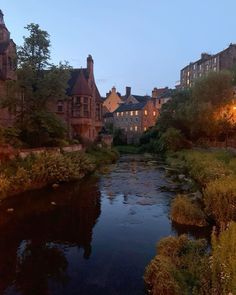 a river running through a lush green forest next to tall buildings at night with lights on