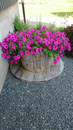 purple flowers are growing in a wooden barrel