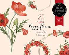 the 25 clipart poppy flowers and wreaths