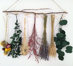 several dried flowers hanging on a wall