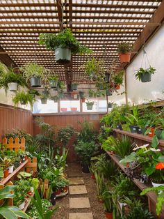 a room filled with lots of potted plants and hanging planters on the ceiling