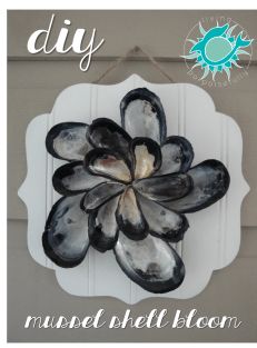 an image of a black and white flower made out of mussels hanging on a door