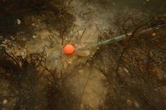 an orange object floating on top of water