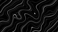 an abstract black and white background with wavy lines