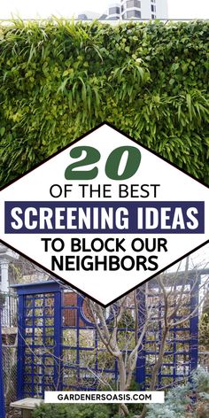 the best gardening ideas to block out neighbors