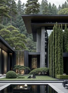 an exterior view of a modern house with trees in the back yard and pool area