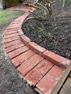 a red brick path in the middle of a garden