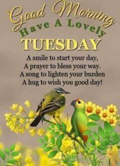 good morning have a lovely tuesday message with two birds on a branch and yellow flowers