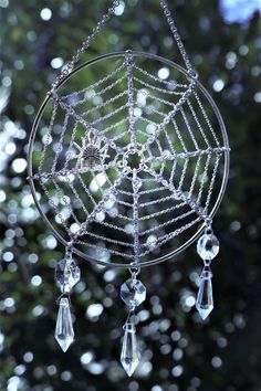 a spider web hanging from the side of a tree in front of a window with drops of water on it