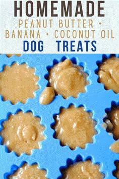 homemade peanut butter and banana coconut oil dog treats in a muffin tin with text overlay