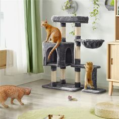 two cats playing in a cat tree with other cats on the floor next to it