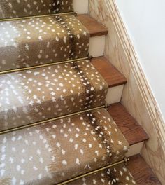 some brown and white carpeted stairs in a house