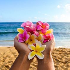 a person holding flowers in their hands on the beach with text that reads feliz dia dos multress de mareco