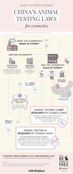 Vegan Starter, Pecha Kucha, Ethical Issues, Animal Advocacy, Free Infographic