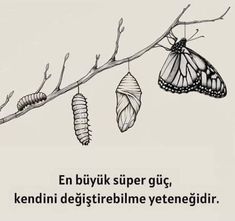 a butterfly and caterpillar hanging from a tree branch with the caption, en buyik super glicc, kenni degitriebile