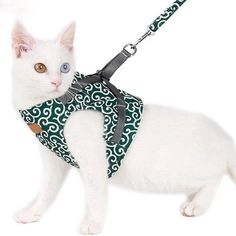 a white cat wearing a green and white patterned harness