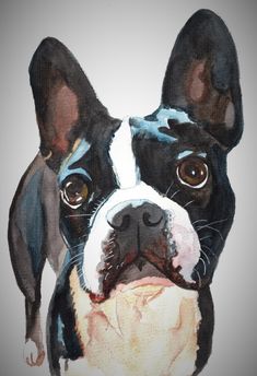 a painting of a boston terrier dog