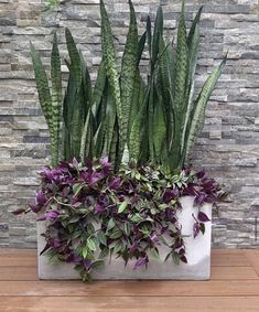 purple flowers and green plants in a white planter on a wooden table next to a brick wall