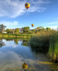 three hot air balloons flying over a lake in the middle of a field with tall grass