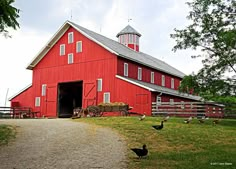 a red barn with chickens walking around it